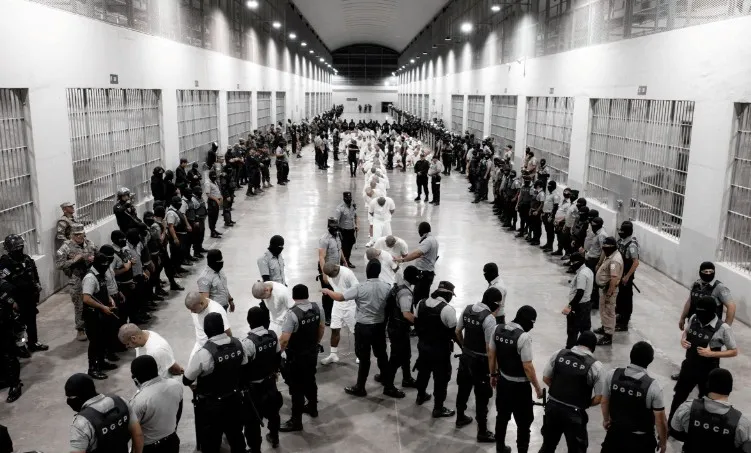 Micupost Digital News