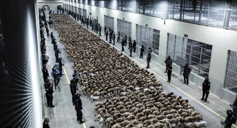 Micupost Digital News