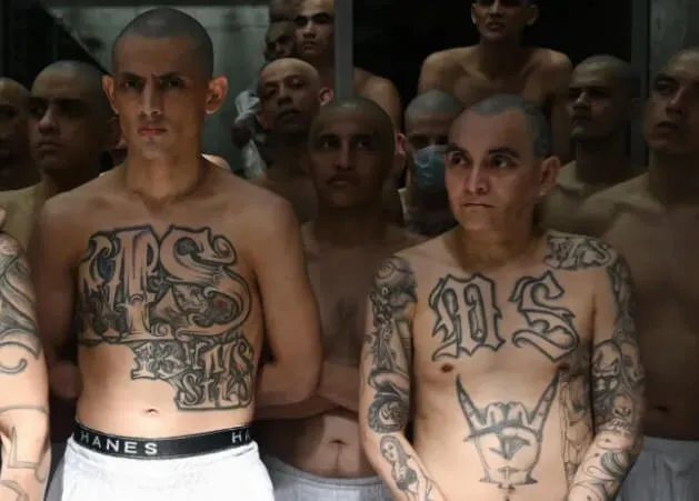 Micupost Digital News